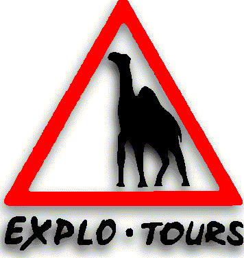 das explo-tours Kamel